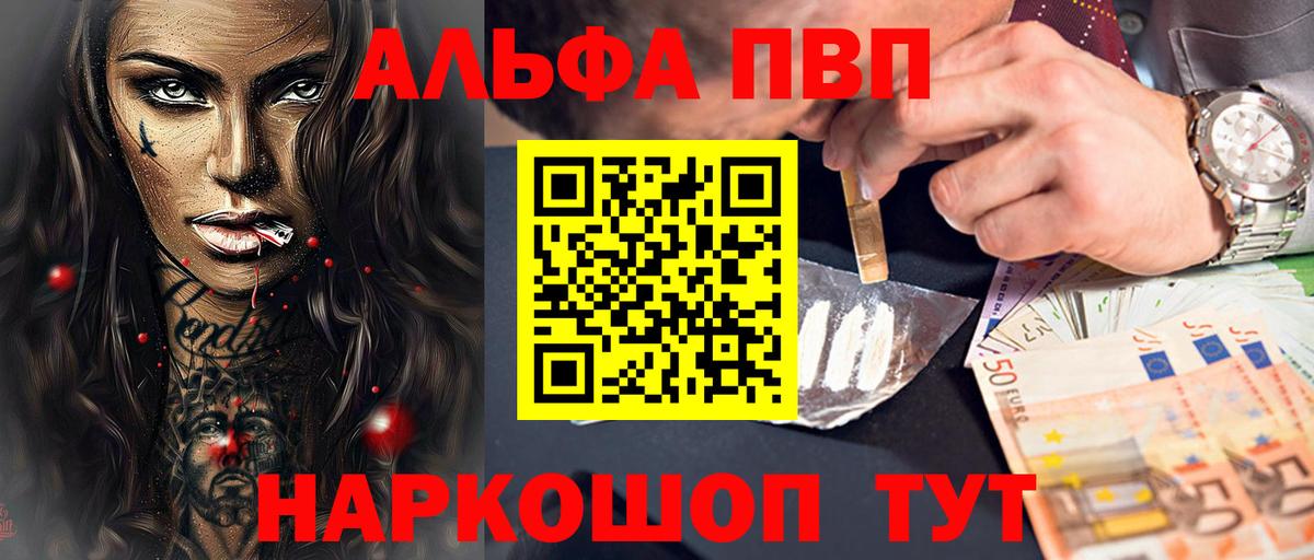 Альфа ПВП СК Киров