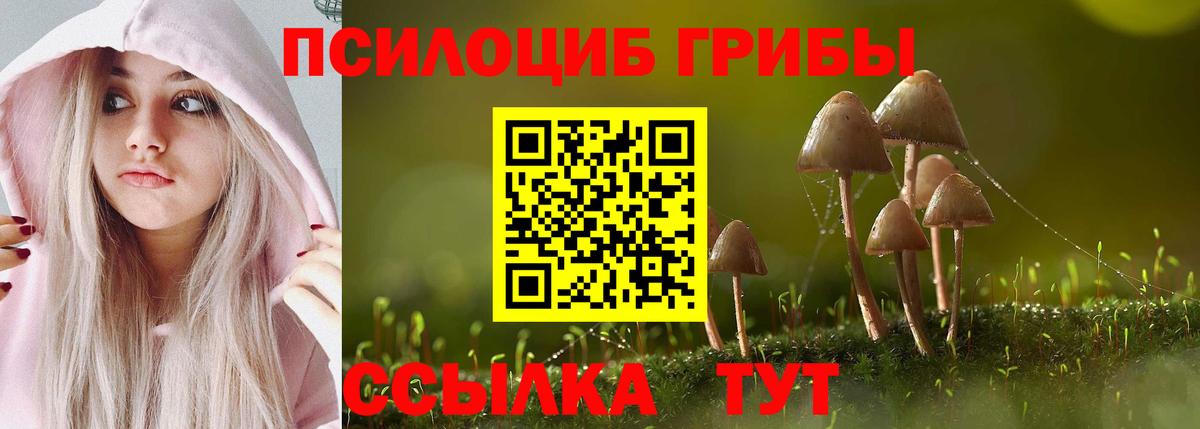 Псилоцибиновые грибы мухоморы Киров